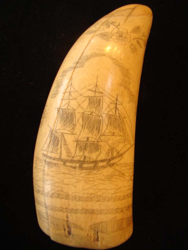A late 19th or early 20th century whale's tooth with whaling motif.